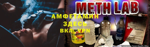apvp Вяземский
