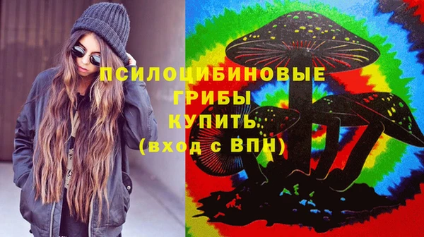 apvp Вяземский