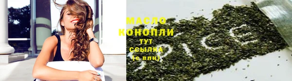 гидра Володарск