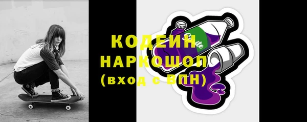 apvp Вяземский