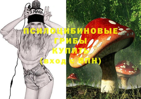 apvp Вязники