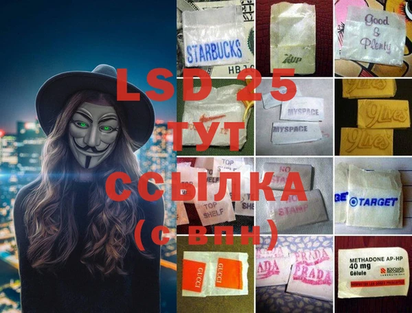 apvp Вяземский
