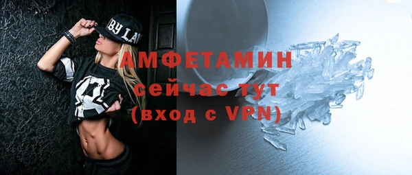apvp Вяземский