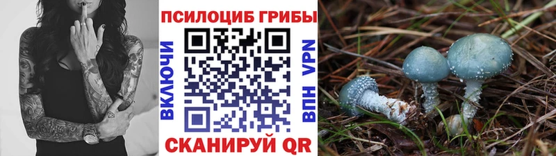 Псилоцибиновые грибы мицелий Кандалакша